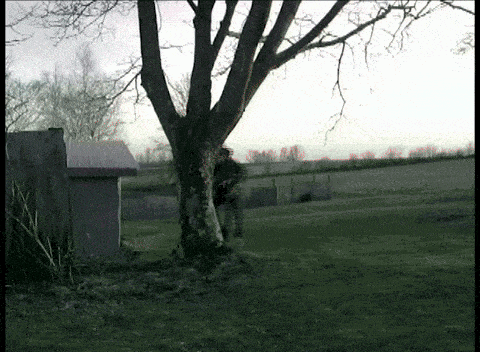 a person standing under a tree in a grassy field