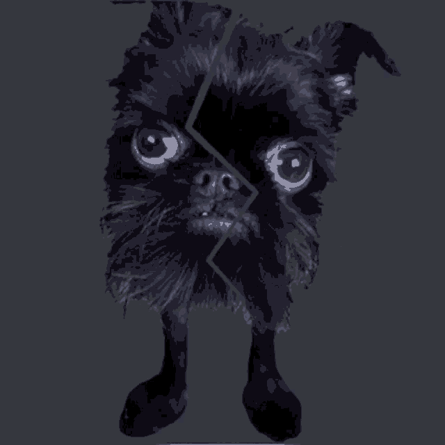 a black dog 's face is split in half and looks like a butterfly