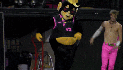 a monkey mascot wearing sunglasses and a shirt that says port animals