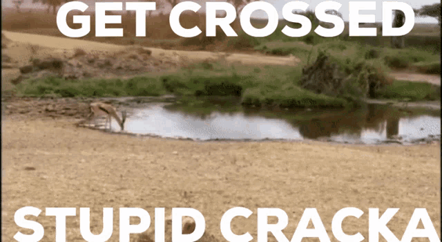 a picture of a river with the words get crossed stupid cracka on it