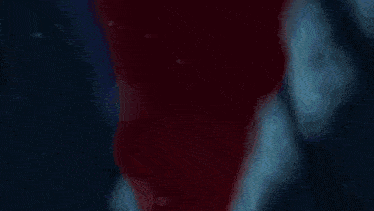 a red and blue background with snowflakes and stars falling