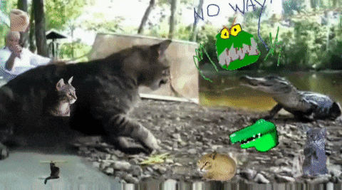 a cartoon drawing of a cat and a crocodile with the words no way written on the bottom