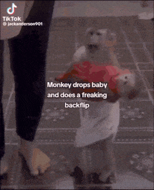 monkey drops baby and does a freaking backflip on a tiled floor