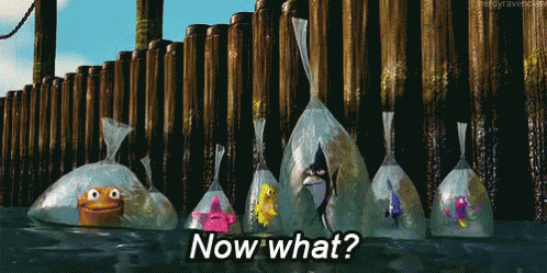 What Was Plan B? GIF - Finding Nemo Floating Fish GIFs