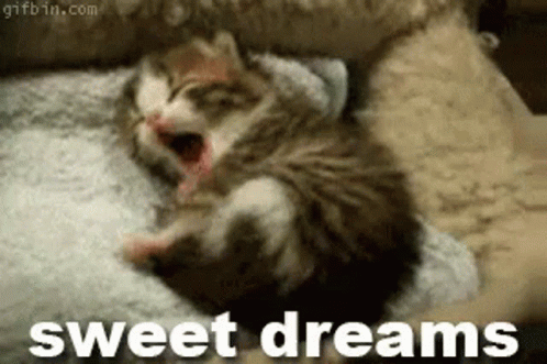 Sweet Dreams Cat GIF - Sweet Dreams Cat Cute GIFs