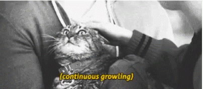 Monday Continuous Growling GIF - Monday Continuous Growling Funny Animal GIFs