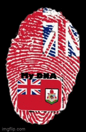 a fingerprint with the flag of bermudes and the words my dna