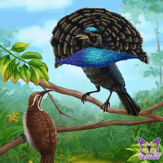 a bird is perched on a tree branch with a butterfly on the bottom right
