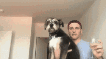 a man is holding a dog and a glass of wine