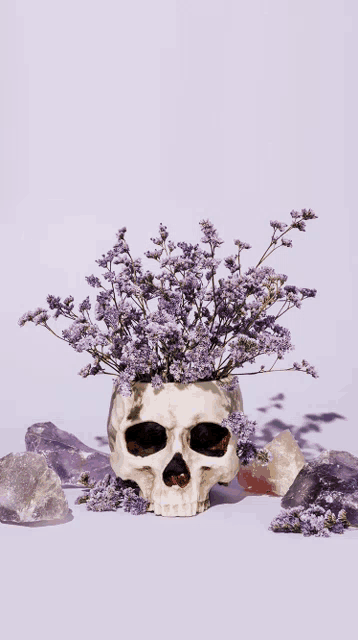a skull filled with purple flowers surrounded by crystals