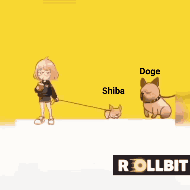 a girl is walking two dogs on a leash with the words doge shiba and rollbit in the corner