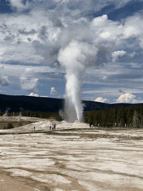 Yellowstone GIF