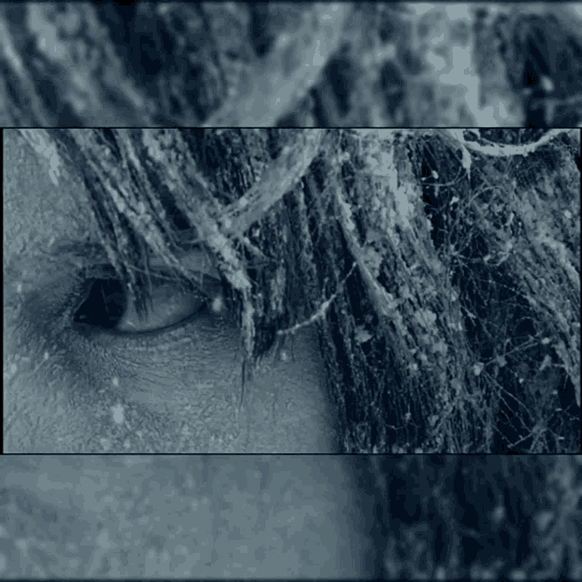 a close up of a person 's eye with a spider web in the background