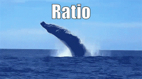 Ratio Whale GIF - Ratio Whale Splash GIFs