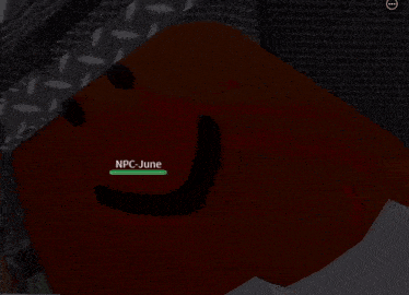 a screenshot of a video game with the name npc-june on it
