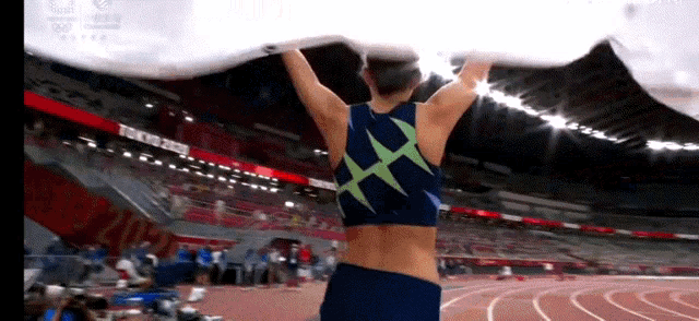 a woman is holding a flag over her head in a stadium
