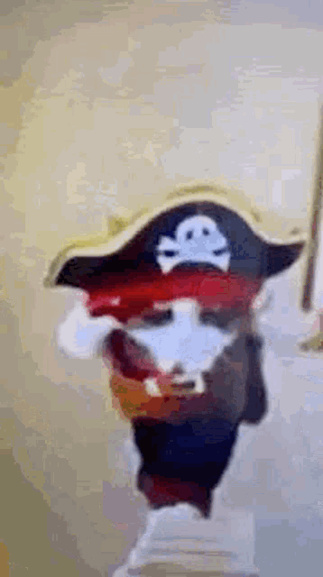 a cat dressed as a pirate with a skull and crossbones hat and a sword .