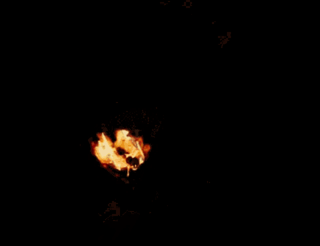 a hunger games logo is surrounded by fire
