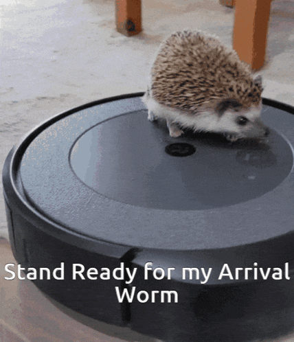 a hedgehog standing on top of a vacuum cleaner with the caption " stand ready for my arrival "