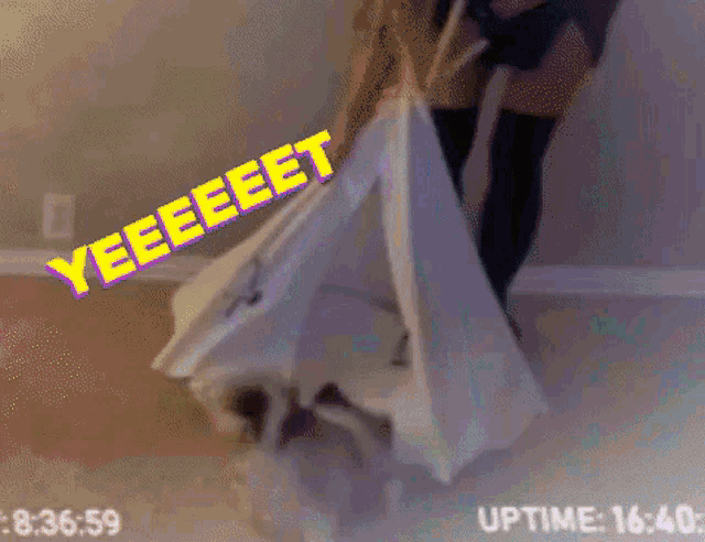 a person is standing next to a tent that says yeeeeet