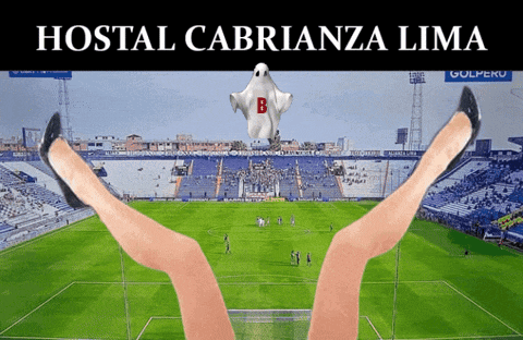 a picture of a soccer field with the words hostal cabrianza lima on the top