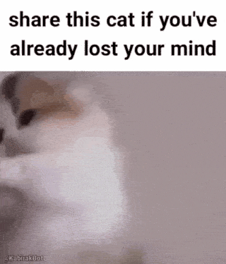 a blurred image of a cat with the words `` share this cat if you 've already lost your mind ''