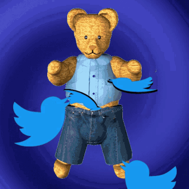 a teddy bear wearing blue shorts and a blue shirt has twitter birds flying around him