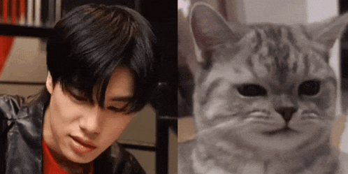 a man and a cat are sitting next to each other and looking at each other .