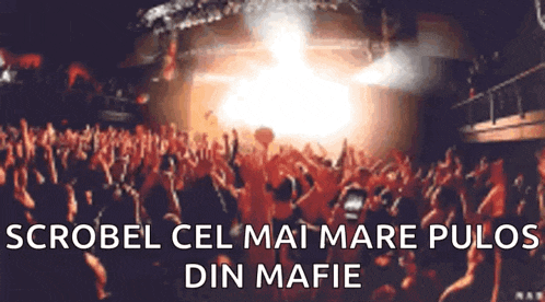 a crowd of people at a concert with the words scrobel cel mai mare pulos din mafia below them