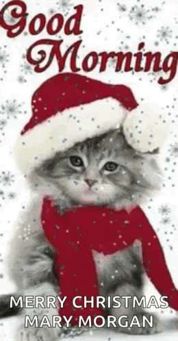 a kitten wearing a santa hat and scarf is sitting in the snow and says `` merry christmas mary morgan '' .