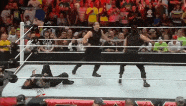 a group of wrestlers are standing in a ring with a crowd watching .