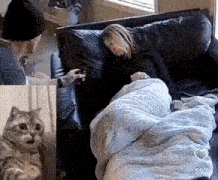 a man is petting a cat while a woman is sleeping on a couch covered in a blanket .