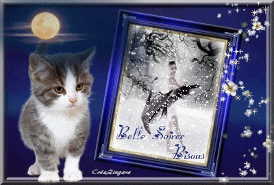 a cat is standing next to a picture that says belle soirée