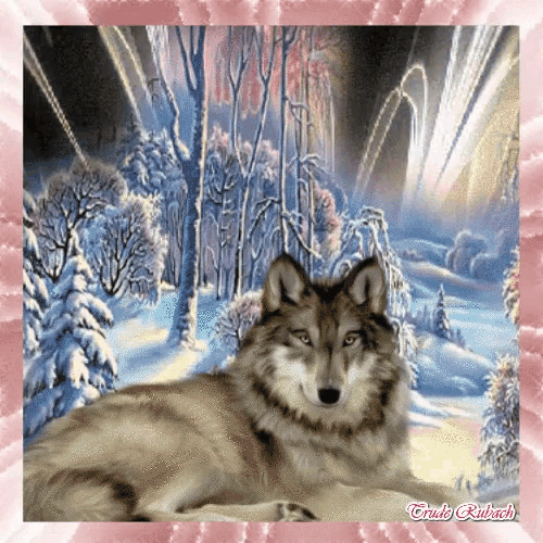 a picture of a wolf in a snowy forest has the name tricky rubach on the bottom