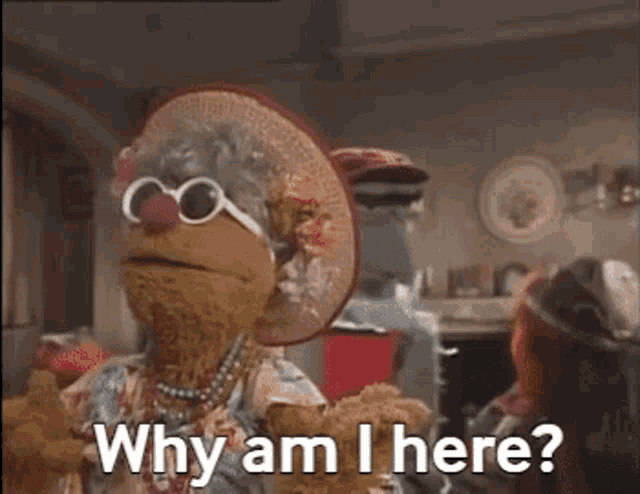 a muppet is holding a teddy bear and saying why am i here ?