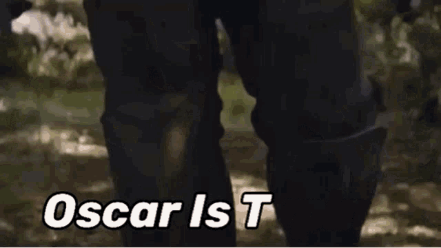 Oscar Is Typing Oscar GIF - Oscar Is Typing Oscar GIFs
