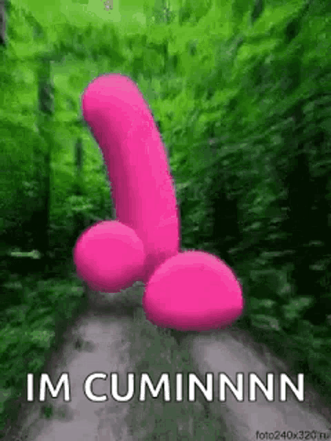 a pink penis is walking down a path in a forest .