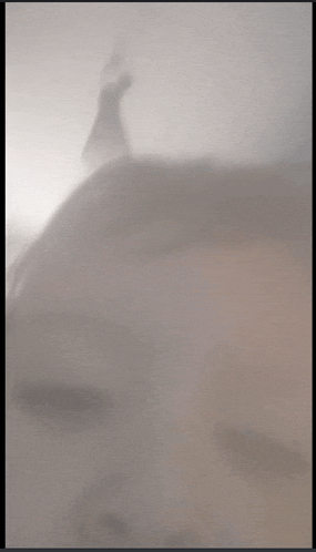 a blurred image of a person 's face behind a sheer curtain