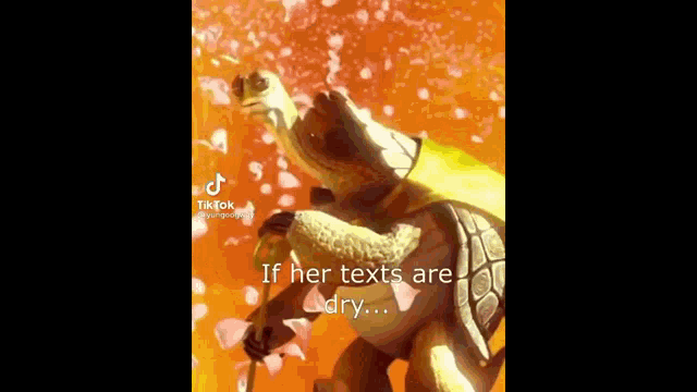 If Her Texts Are Dry Oogway GIF - If Her Texts Are Dry Oogway GIFs