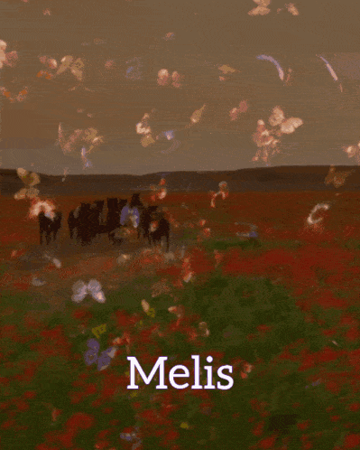 Melis GIF - Melis GIFs