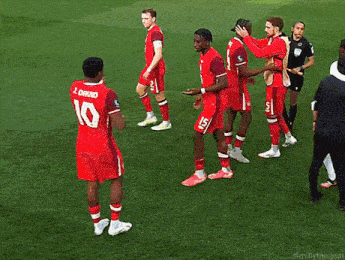 a group of soccer players are on a field and one has the number 8 on his back