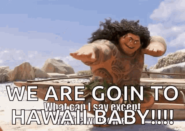 a cartoon character says we are goin to hawaii