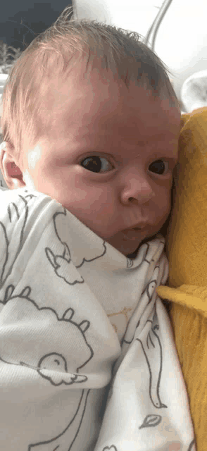 a baby is wrapped in a white blanket with a dinosaur on it