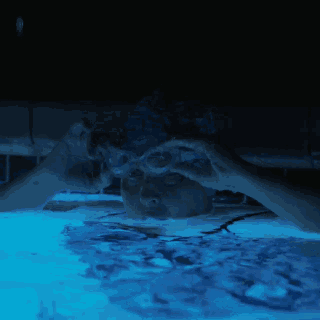 a woman wearing a swim cap and goggles is swimming in the dark