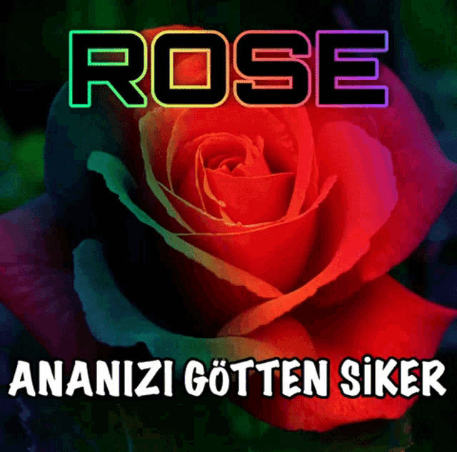 a colorful rose with the word rose on top