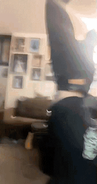 a person is sitting in a chair in a living room with pictures on the wall .