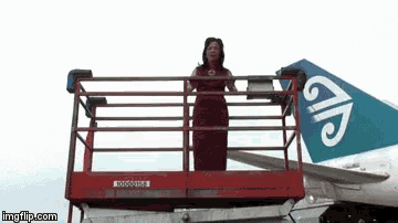 a woman in a purple dress is standing on a ladder with a new zealand airlines logo on the tail