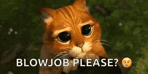 a sad cat is asking for a blowjob please