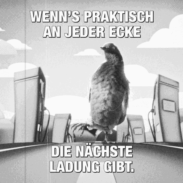 a pigeon is standing in front of gas pumps with the caption wenn 's praktik an jeder ecke