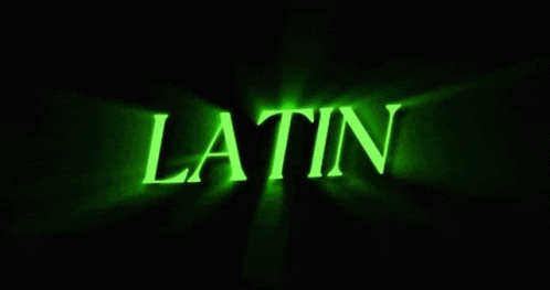 Latinpr GIF - Latinpr GIFs